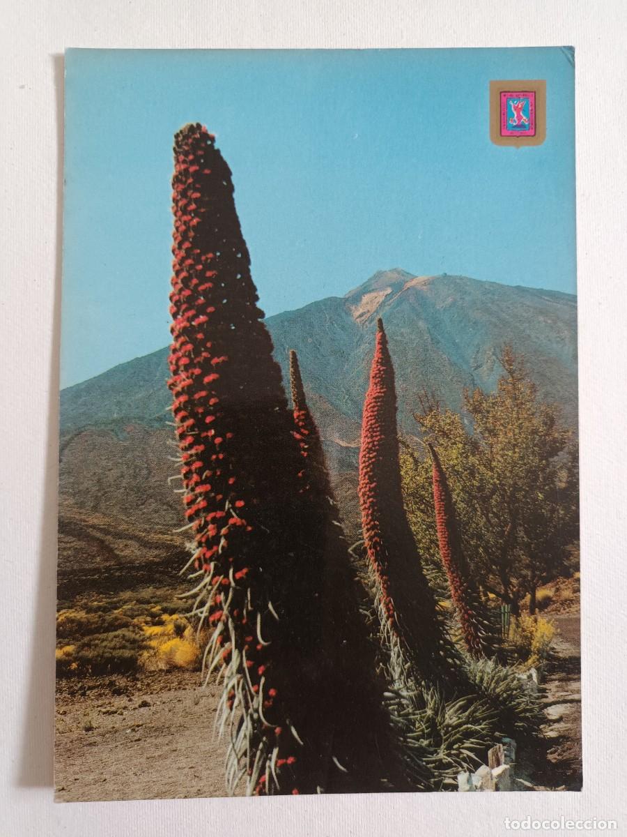Postales: TENERIFE. F. TAJINASTE Y TEIDE (1984) - ESCUDO DE ORO