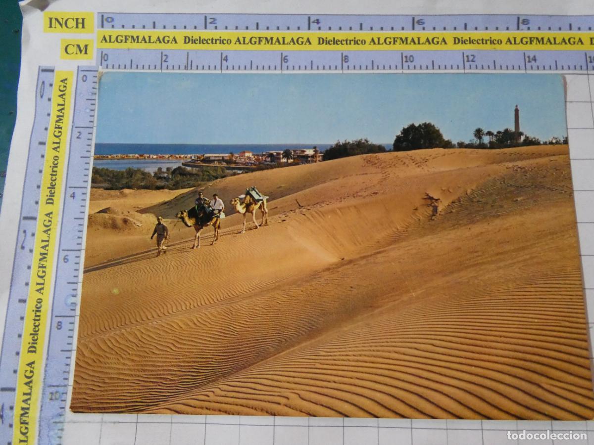 Postales: POSTAL DE GRAN CANARIA. A&Ntilde;O 1967. DUNAS MASPALOMAS CAMELLERO. 2314 ARRIBAS. 3061