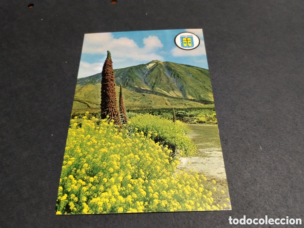 Postales: Postal Tenerife.......