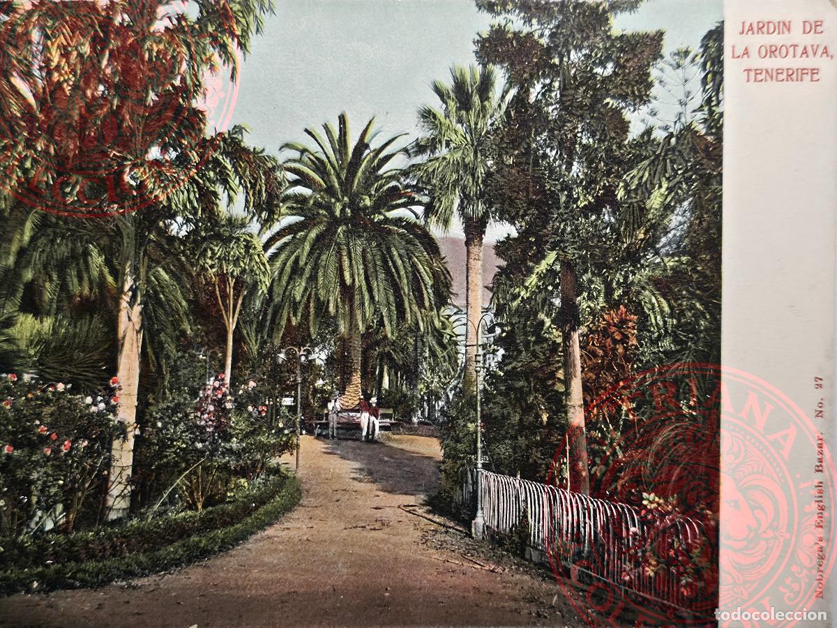 Postales: POSTAL TENERIFE, JARDIN DE LA OROTAVA. NOBREGA'S ENGLISH BAZAR N&ordm; 27
