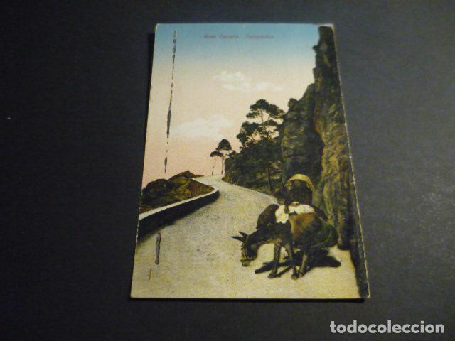 Postales: GRAN CANARIA CAMPESINA