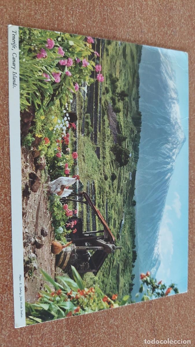 Postales: Postal Tenerife Tenerife