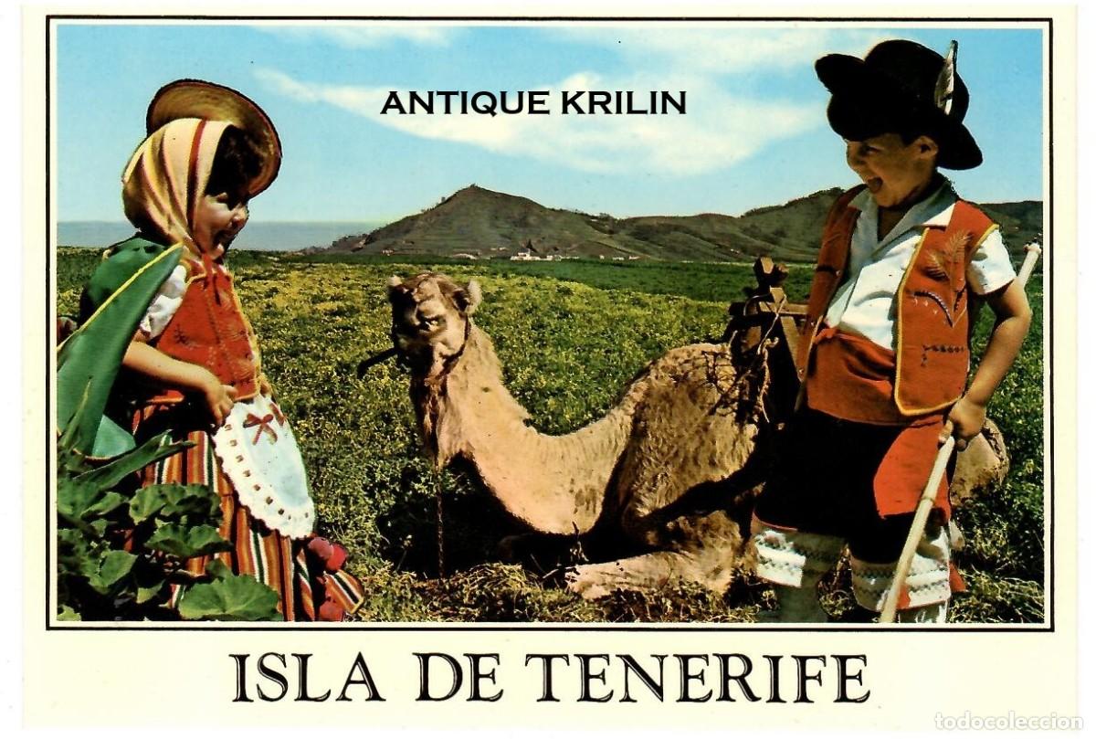 Postales: ISLAS CANARIAS N&ordm; 5028/L ESCENA TIPICA / TENERIFE / EDICIONES GASTEIZ / SIN FRANQUEAR