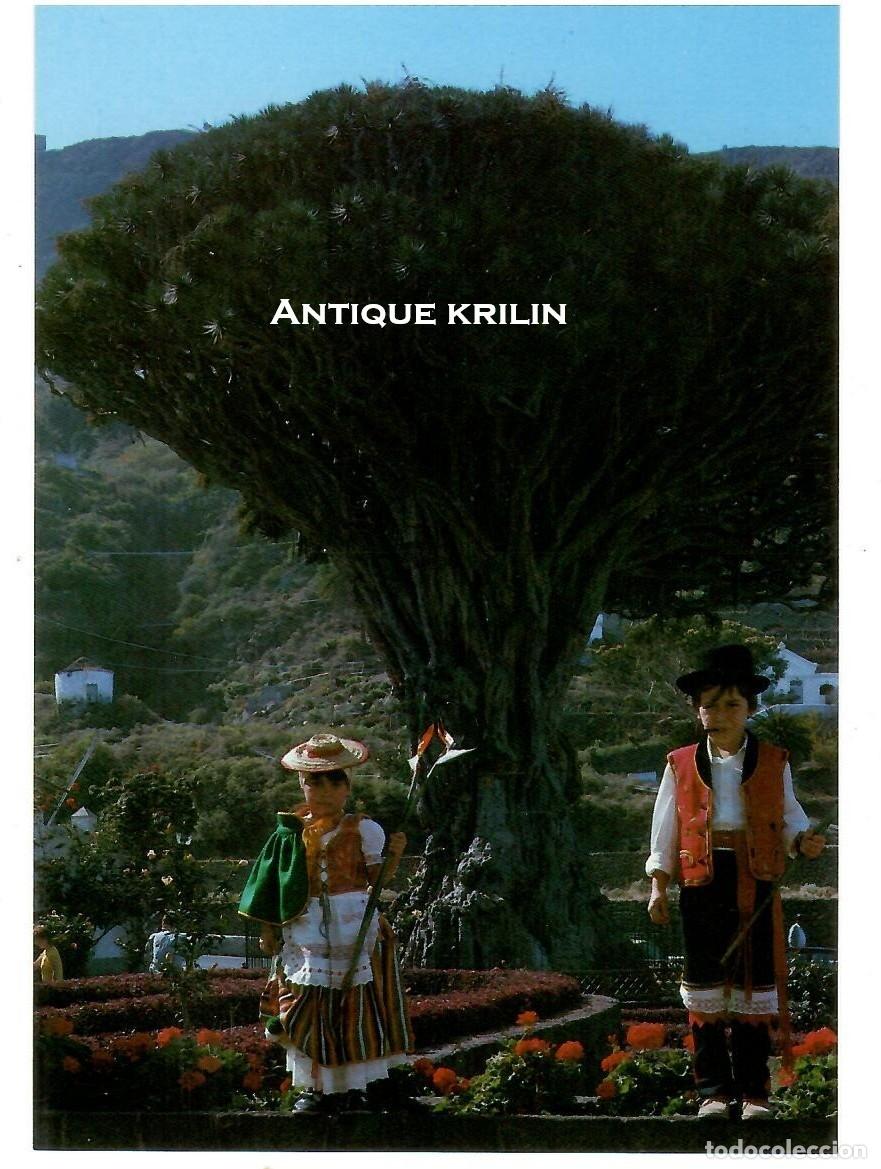 Postales: TENERIFE / ICOD DE LOS VINOS N&ordm; 114 DRAGO MILENARIO / EDICIONES ANIBARRO / SIN FRANQUEAR