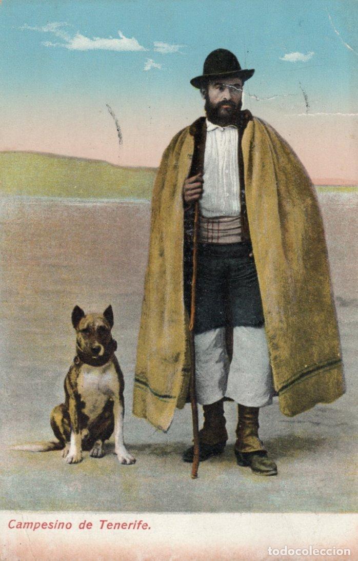 Postales: BONITA POSTAL - CAMPESINO DE TENERIFE