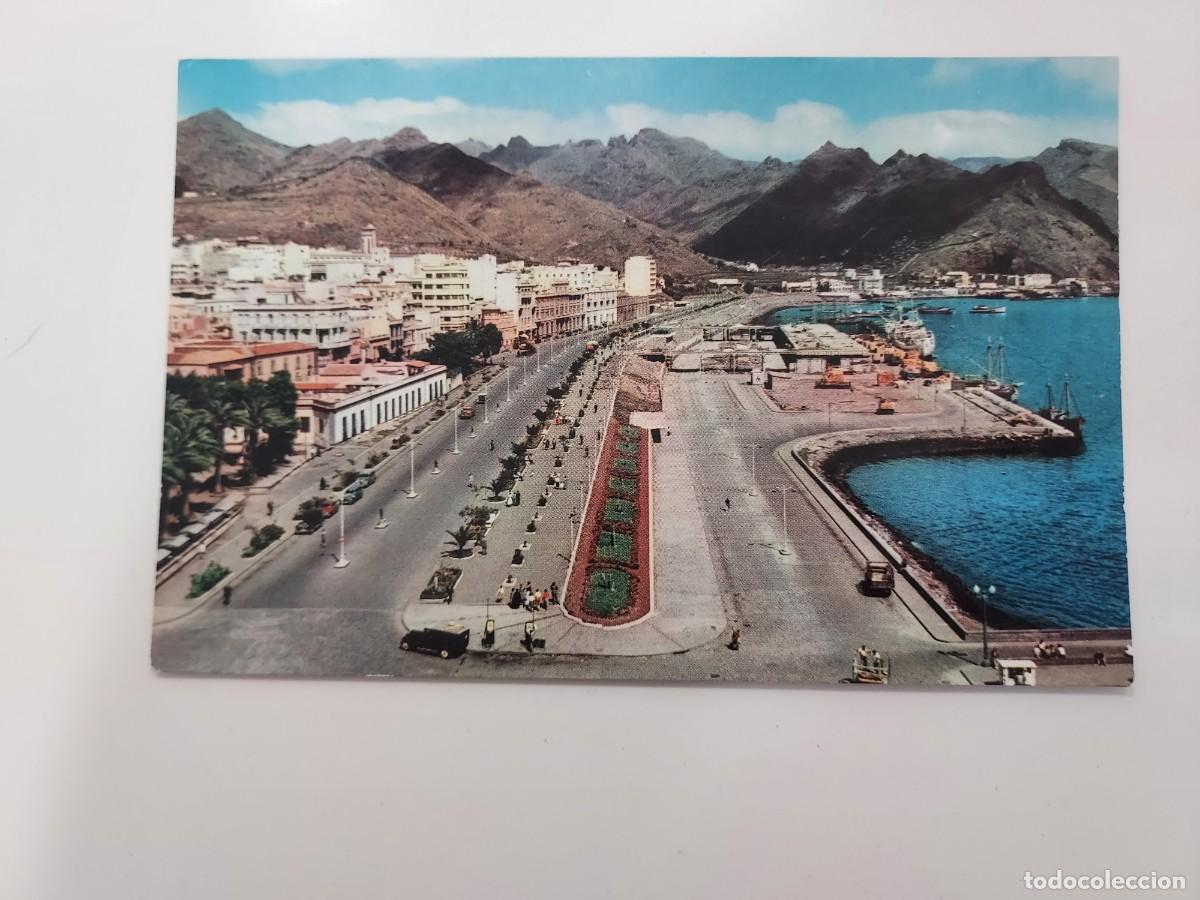 Postales: POSTAL SANTA CRUZ DE TENERIFE PASEO DE SAN MIGUEL. A&Ntilde;OS 1950. SIN CIRCULAR. CAMPA&Ntilde;A 7353