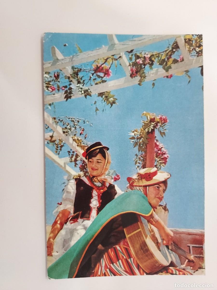 Postales: POSTAL LA LAGUNA (TENERIFE) ROMERIA TIPICA SAN ISIDRO. 1963. SIN CIRCULAR. 106 FOTO ABRIL