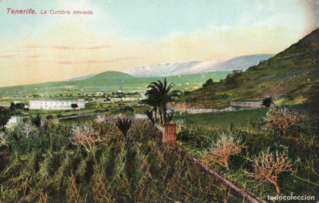 Postales: POSTAL TENERIFE - LA CUMBRE NEVADA - NOBREGA&acute;S ENGLISH BAZAR