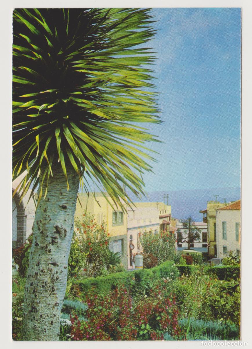 Postales: TARJETA POSTAL - TENERIFE - LA OROTAVA - N&ordm; 239 - EDITORIAL CANARIA