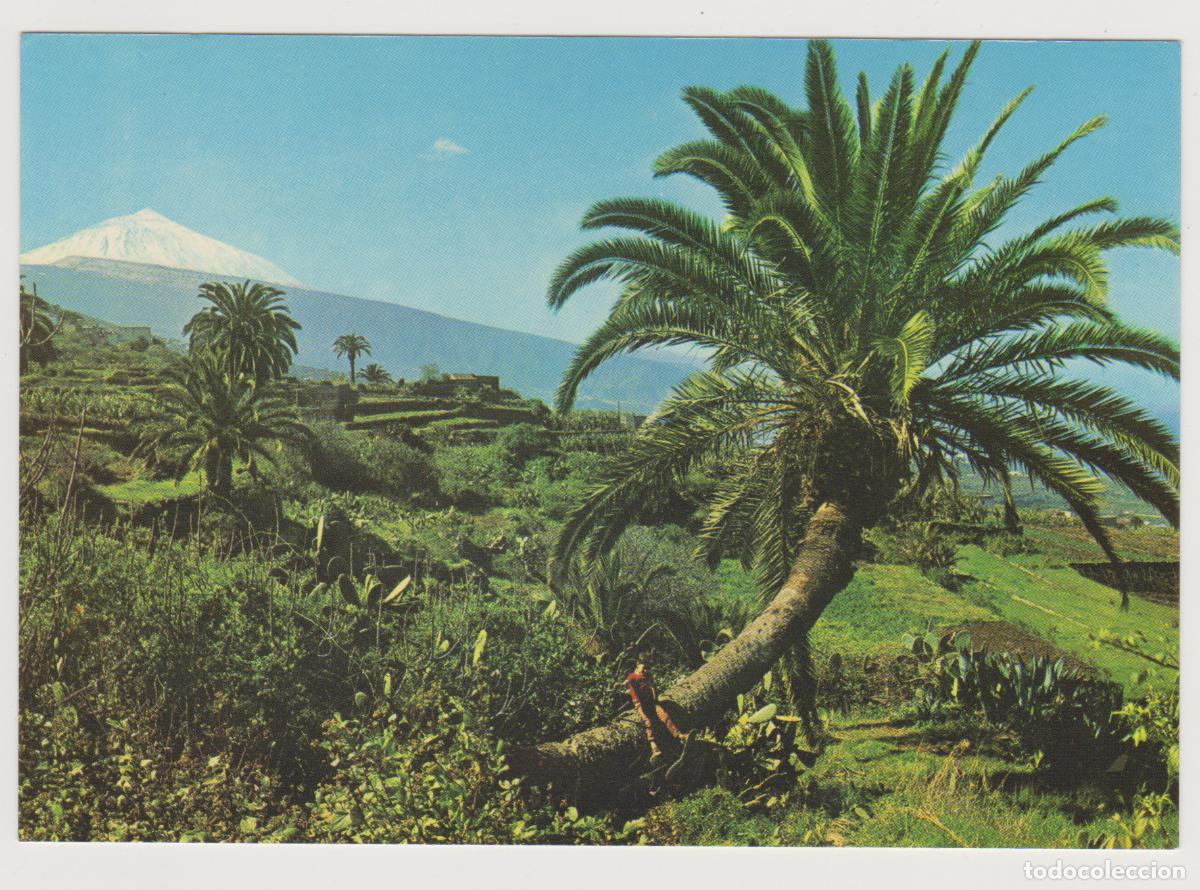 Postales: TARJETA POSTAL - TENERIFE - PAISAJE CON EL TEIDE AL FONDO - N&ordm; 2900 - EDICIONES GASTEIZ