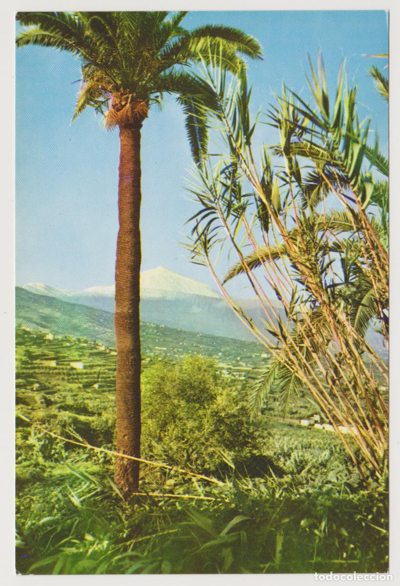 Postales: TARJETA POSTAL - TENERIFE -EL TEIDE VISTO DESDE LAS VICTORIAS -7360-FOT. A. CAMPA&Ntilde;A Y J. PUIG-FERRAN