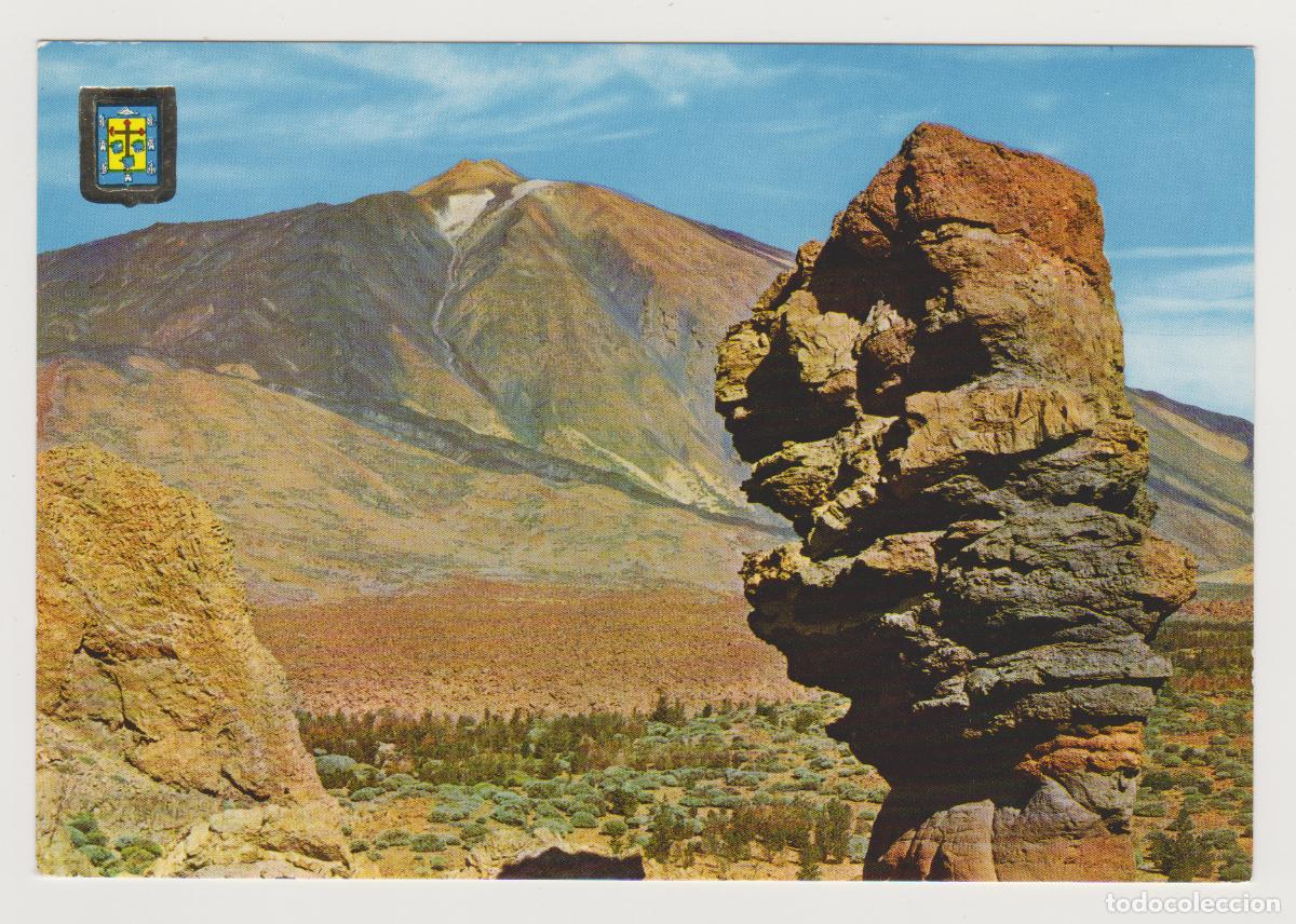Postales: TARJETA POSTAL - TENERIFE - ARBOL DE PIEDRA EN LAS CA&Ntilde;ADAS - N&ordm; 64 - EDICIONES FISA