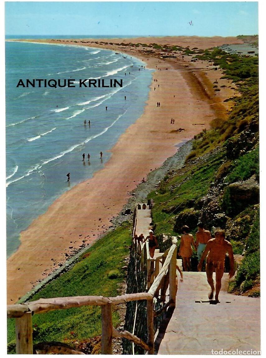 Postales: LAS PALMAS DE GRAN CANARIA / PLAYA DEL INGLES / EDICION BRITO N&ordm; 2004 / SIN FRANQUEAR