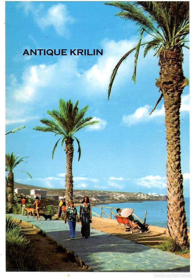 Postales: SUR DE GRAN CANARIA N&ordm; 6521 PLAYA DEL INGLES / EDICIONES ISLAS / SIN FRANQUEAR