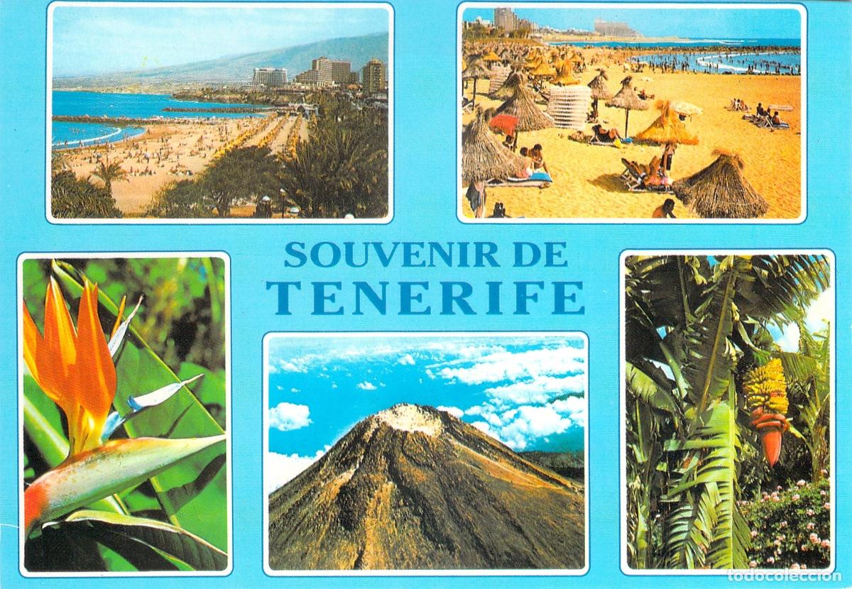 Postales: Postal de Tenerife con diversas vistas panor&aacute;micas y paisajes