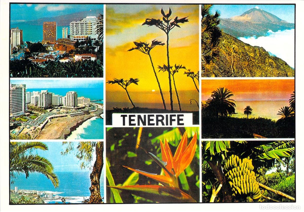 Postales: Postal de Tenerife: Vistas Panor&aacute;micas y Naturaleza