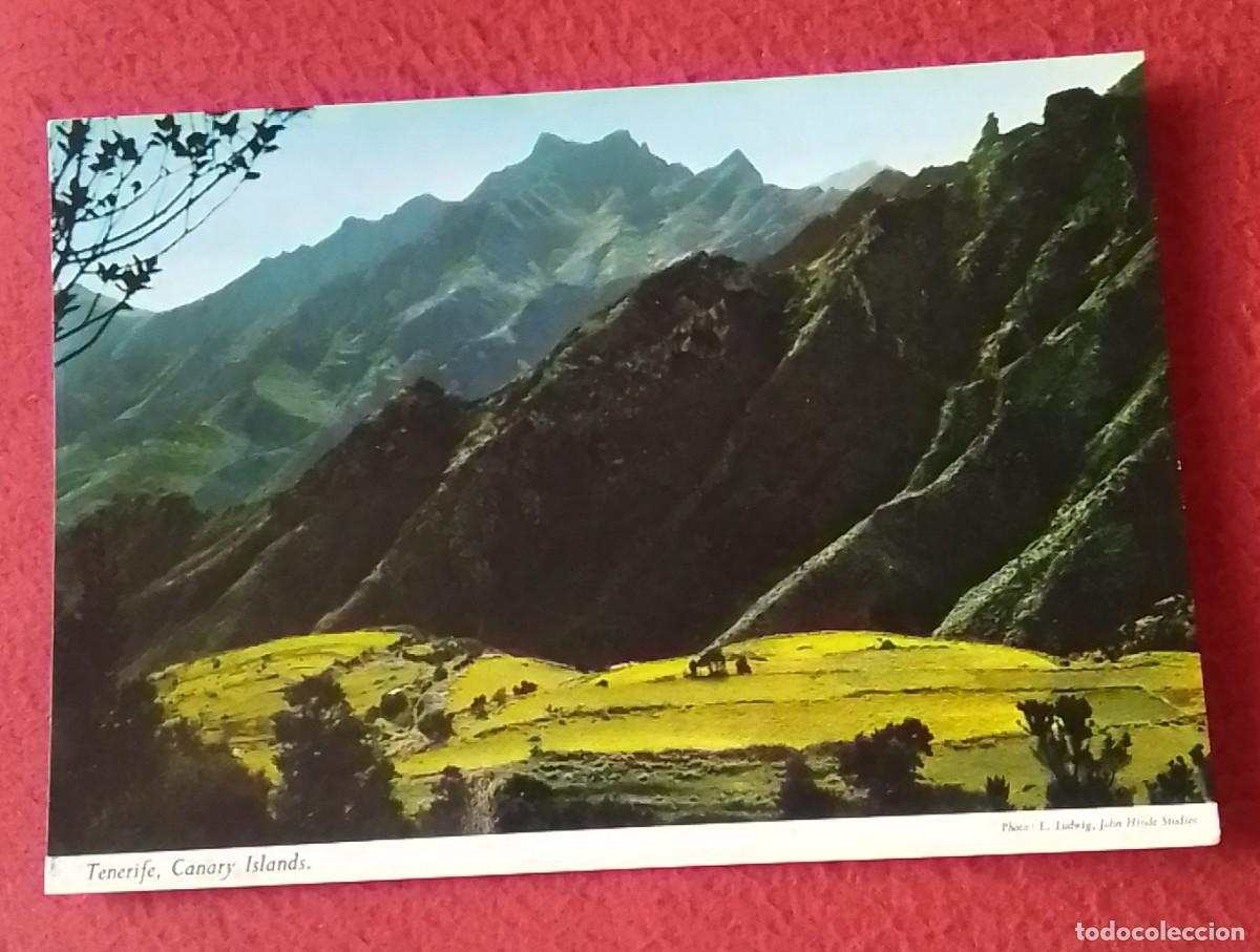 Postales: ANTIGUA POSTAL POST CARD CANARY ISLANDS TENERIFE TENERIFFA VALLE F&Eacute;RTIL..CORDILLERA DE ANAGA..SPAIN.