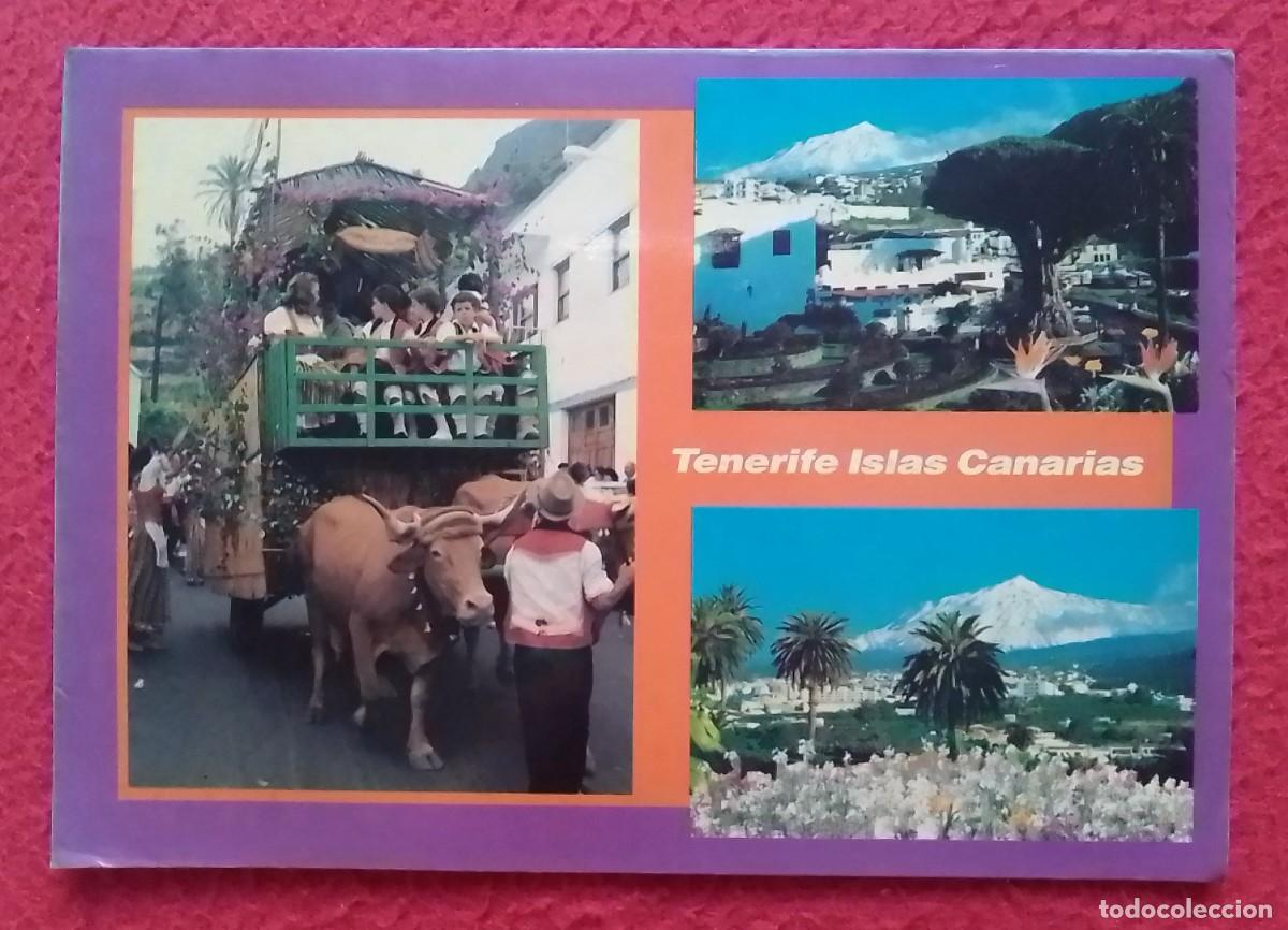 Postales: ANTIGUA POSTAL POST CARD CANARY ISLANDS TENERIFE TENERIFFA ROMER&Iacute;A DRAGO MILENARIO ICOD DE LOS VINOS