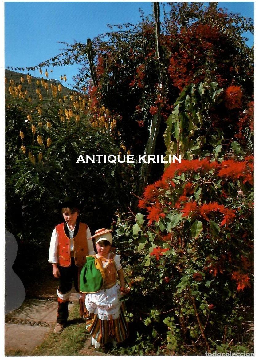 Postales: TENERIFE N&ordm; 115 TRAJES Y FLORES TIPICAS / EDICIONES ANIBARRO / SIN FRANQUEAR
