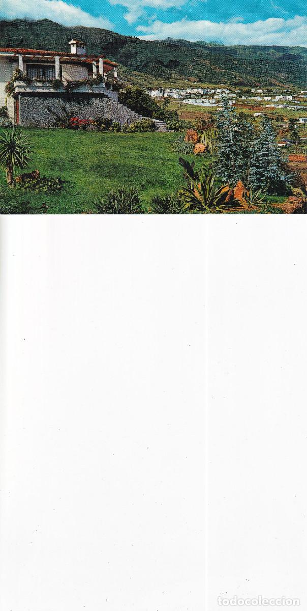 Postales: CANARIAS LA PALMA BRE&Ntilde;A ALTA - Foto 1