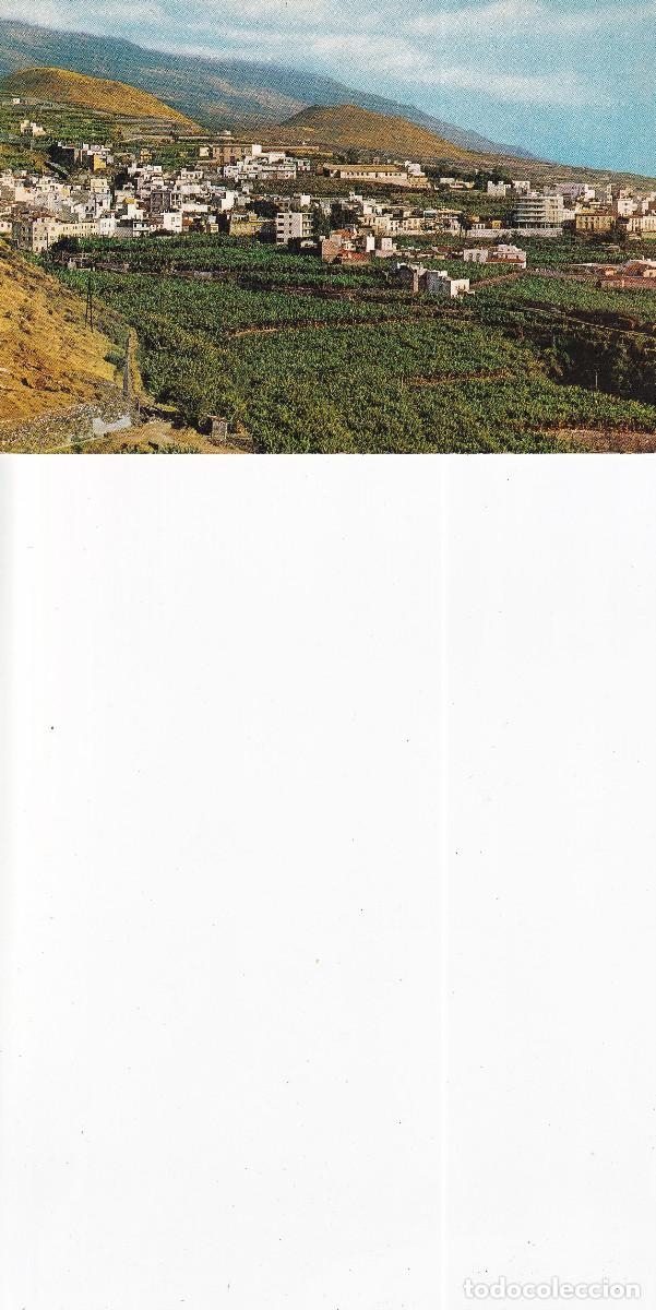 Postales: SAN MIGUEL DE LA PALMA TAZACORTE