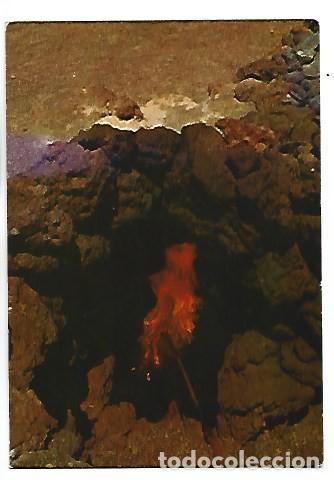 Postales: HORNO NATURAL EN LA MONTA&Ntilde;A DE FUEGO.- LANZAROTE