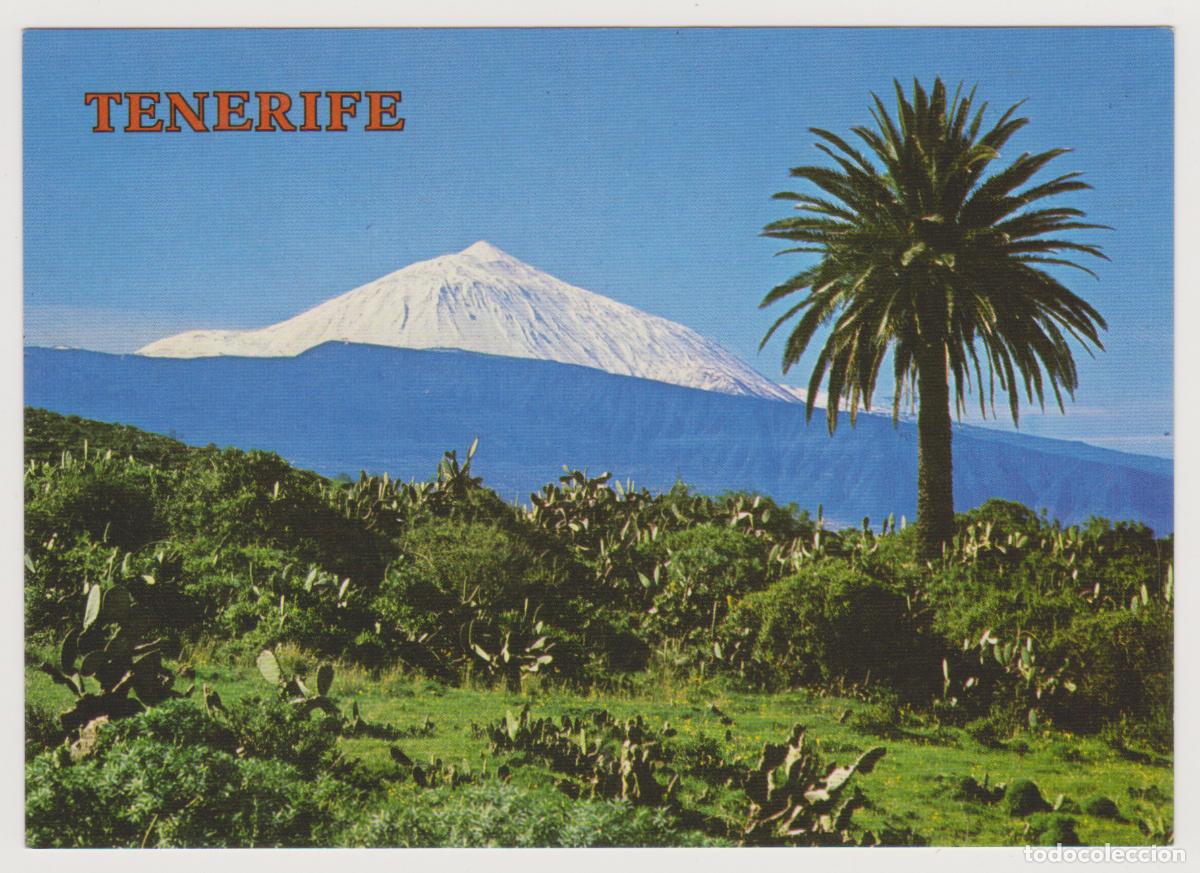 Postales: TARJETA POSTAL - TENERIFE - EL TEIDE - N&ordm; 5596 - DIST. GARCIA Y CORREA SL