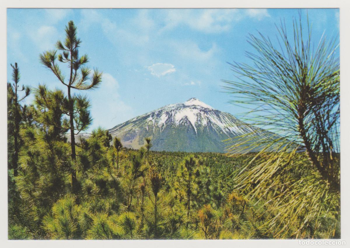 Postales: TARJETA POSTAL - TENERIFE - PICO DEL TEIDE - N&ordm; 5958 - EDICIONES GASTEIZ