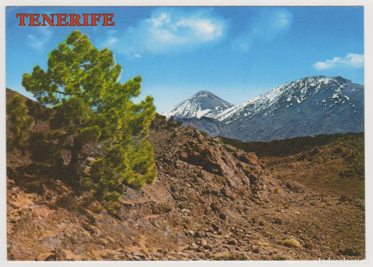Postales: TARJETA POSTAL - TENERIFE - CANARIAS - EL TEIDE - N&ordm; 4127 - COLECCION PERLA