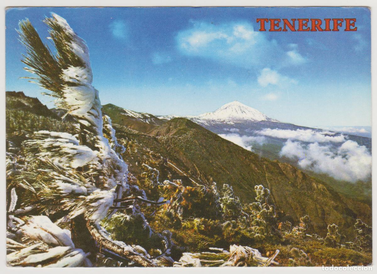 Postales: TARJETA POSTAL - TENERIFE - CANARIAS - EL TEIDE - N&ordm; 4112 - COLECCION PERLA