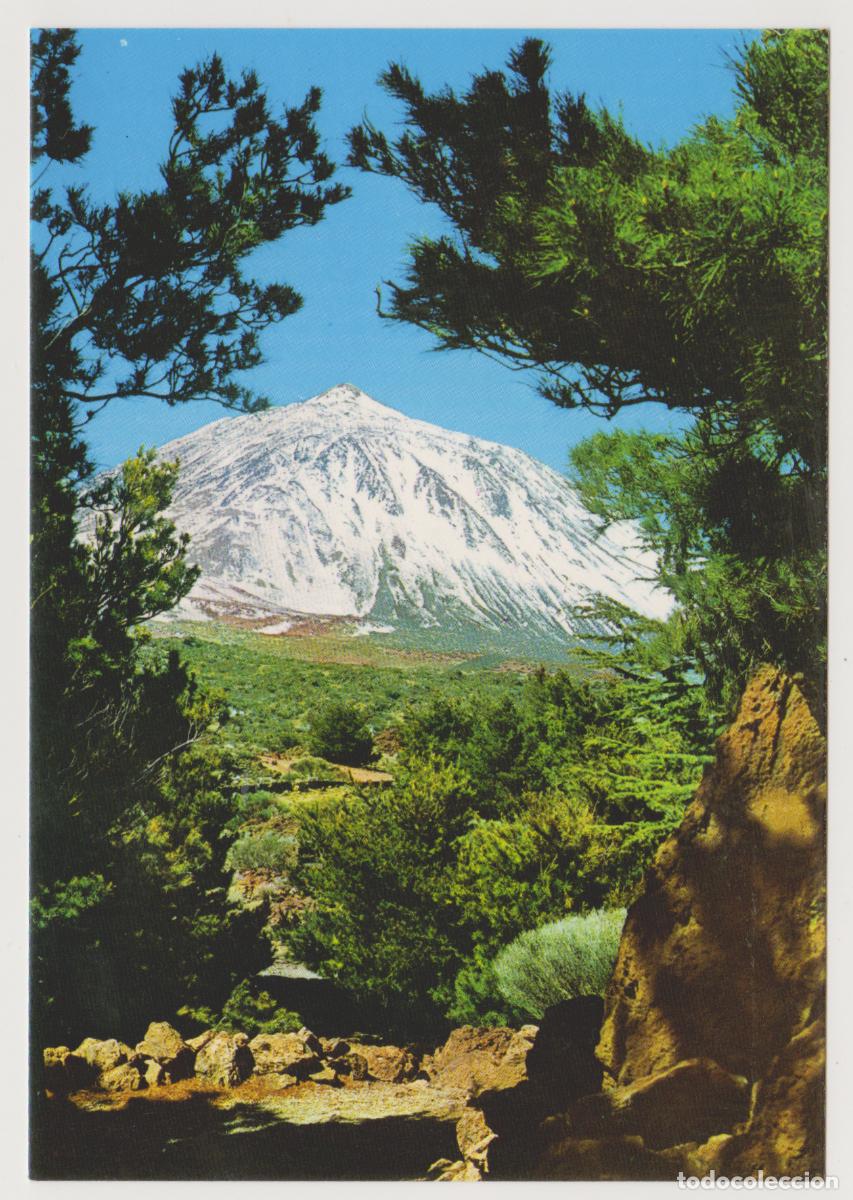 Postales: TARJETA POSTAL - TENERIFE - EL TEIDE - N&ordm; 2863 - EDICIONES GASTEIZ