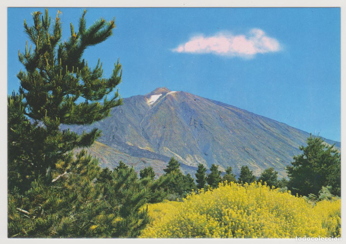Postales: TARJETA POSTAL - TENERIFE - EL TEIDE - N&ordm; 2874 - EDICIONES GASTEIZ