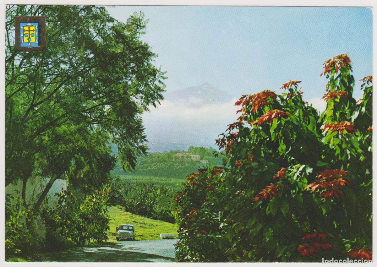 Postales: TARJETA POSTAL - SANTA CRUZ DE TENERIFE - PAISAJE TIPICO AL FONDO EL PICO DEL TEIDE -N&ordm; 167 -ED FISA