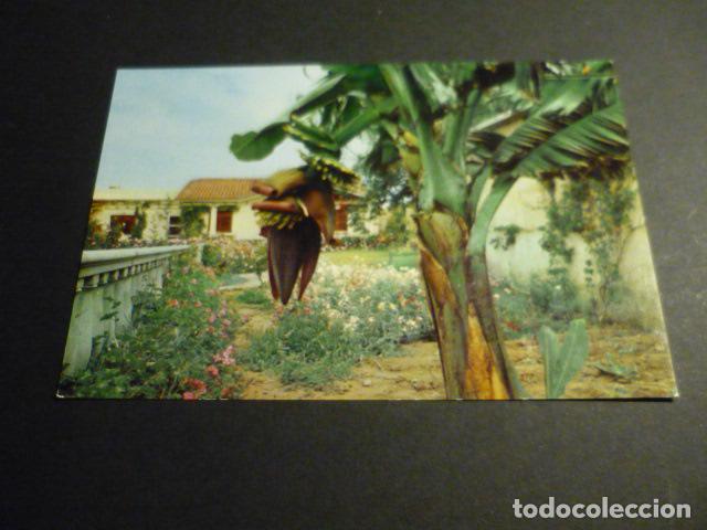 Postales: ISLA DE TENERIFE POSTAL