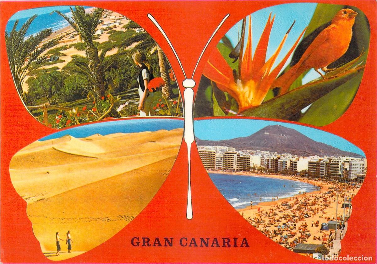 Postales: Postal de Gran Canaria con dise&ntilde;o de mariposa