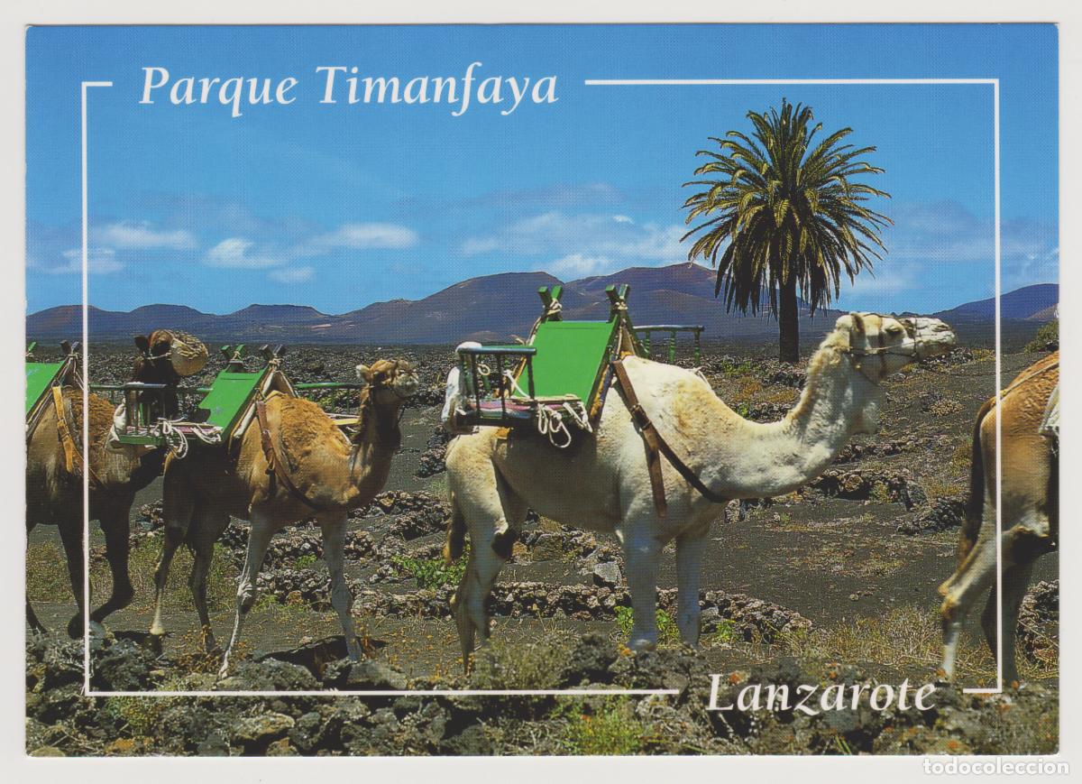Postales: TARJETA POSTAL - LANZAROTE - PARQUE TIMANFAYA - 047 YL - MANZANO SOUVENIRS SLU