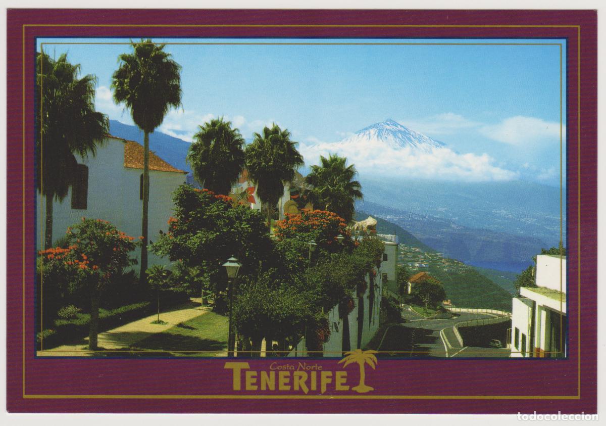 Postales: TARJETA POSTAL - TENERIFE - EL SAUZAL - COSTA NORTE - SOFOTO SL
