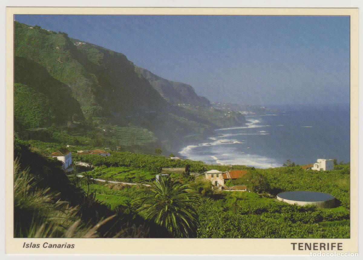 Postales: TARJETA POSTAL - ISLAS CANARIAS - TENERIFE - COSTA NORTE - LOS REALEJOS - LIBR. BORBALAN