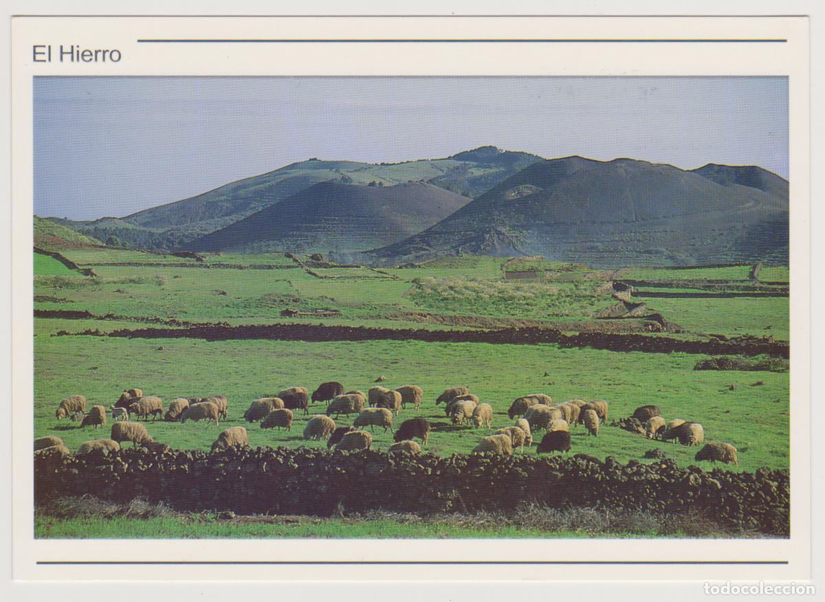 Postales: TARJETA POSTAL - ISLA DE EL HIERRO - N&ordm; 15 - DISTRIBUYE IMANATUR SL