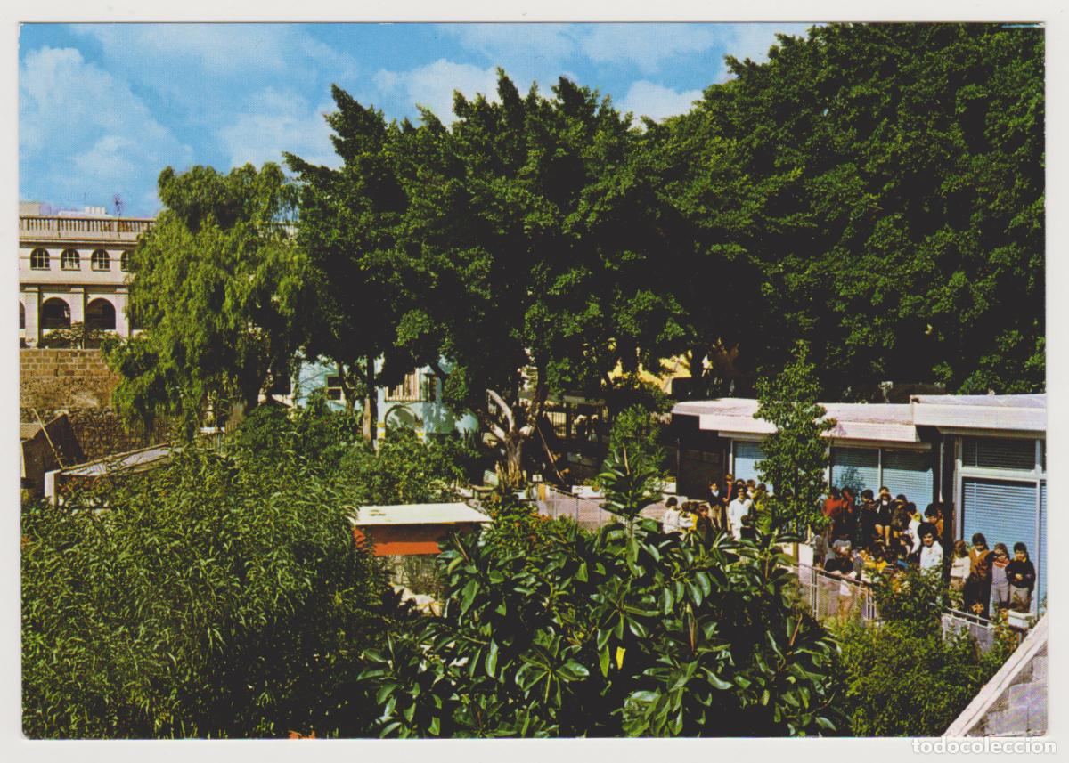 Postales: TARJETA POSTAL - SANTA CRUZ DE TENERIFE - JARDIN INFANTIL LA SALLE, COLEGIO SAN IDEFONSO - EDIC RO