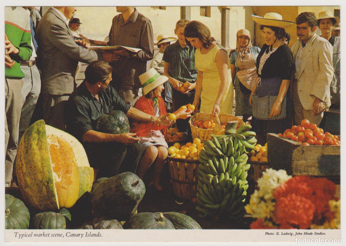 Postales: TARJETA POSTAL - CANARY ISLANDS - TYPICAL MARKET SCENE - PHOTO E. LUDWIG, JOHN HINDE STUDIOS