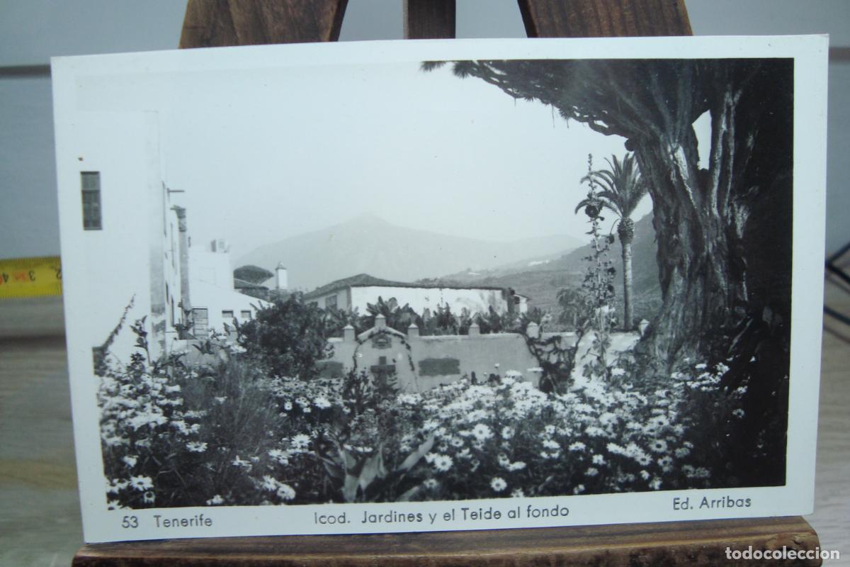 Postales: ANTIGUA POSTAL OCOD. JARDINES Y TEIDE. TENERIFE. ARRIBAS N&ordm; 53. SIN CURSAR.