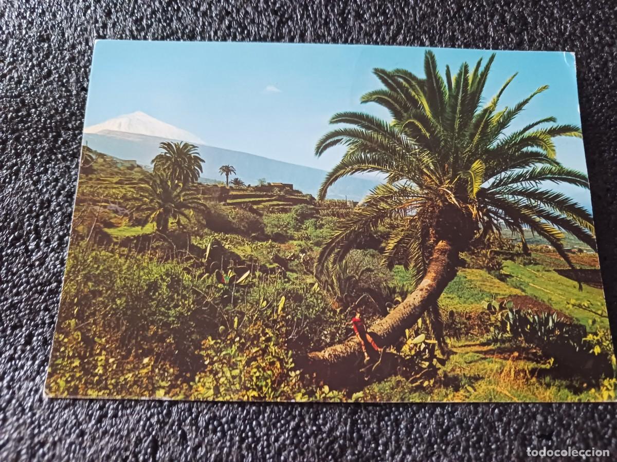 Postales: 2900 tenerife, paisaje con el teide al fondo, ed. gasteiz, circulada 1976