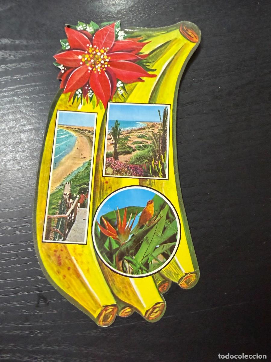 Postales: TARJETA POSTAL. CANARIAS. N&ordm; 4.- SOUVENIR DE GRAN CANARIA. BRITO