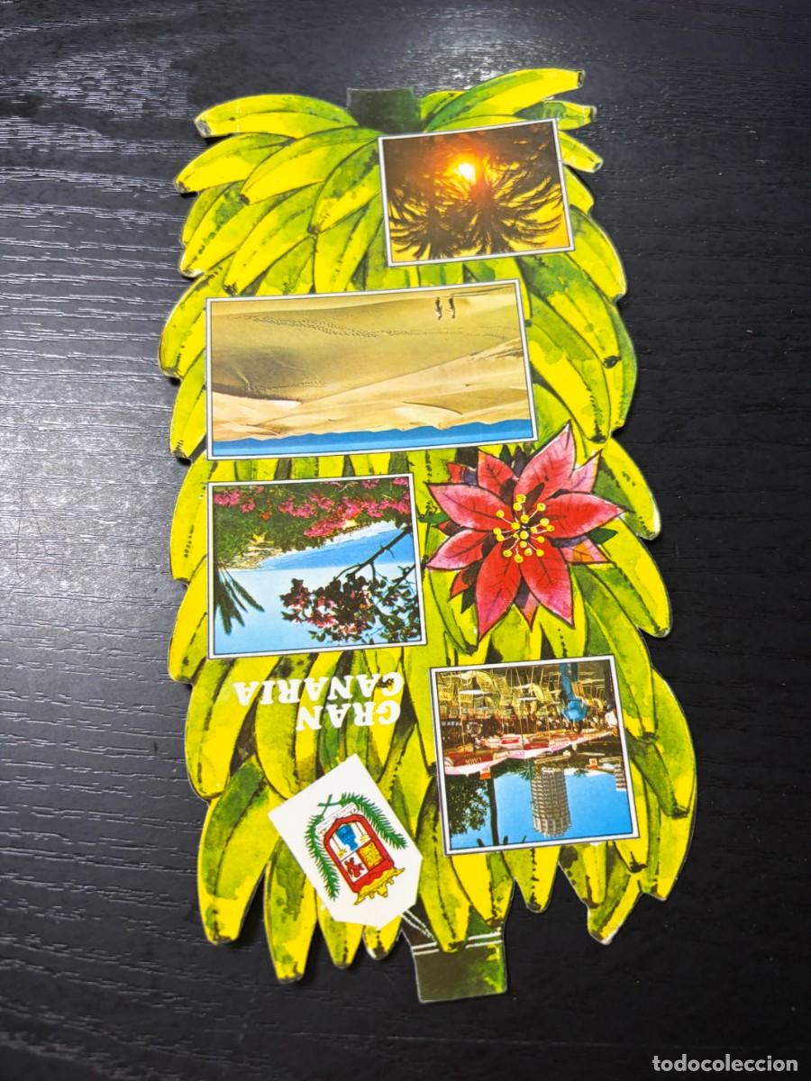 Postales: TARJETA POSTAL. CANARIAS. SOUVENIR DE GRAN CANARIA. POSTAL T&Iacute;PICA.