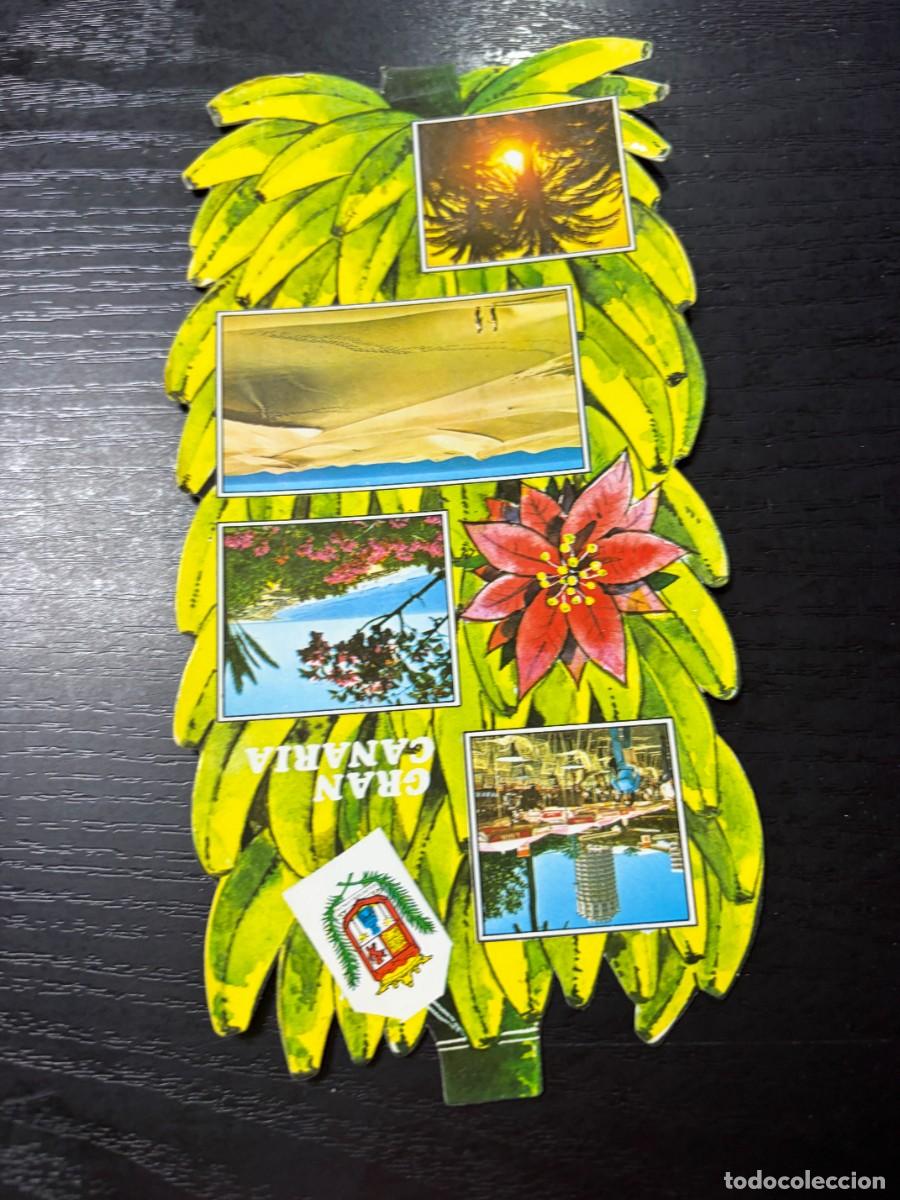 Postales: TARJETA POSTAL. CANARIAS. SOUVENIR DE GRAN CANARIA. POSTAL T&Iacute;PICA.