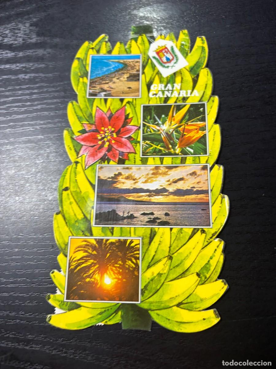 Postales: TARJETA POSTAL. CANARIAS. SOUVENIR DE GRAN CANARIA. POSTAL T&Iacute;PICA.