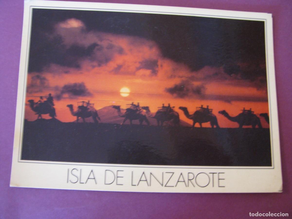 Postales: POSTAL DE ISLA DE LANZAROTE. TIMANFAYA. CARAVANA DE CAMELLOS.