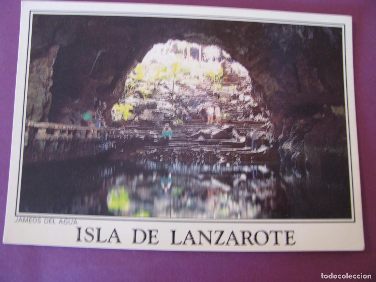 Postales: POSTAL DE ISLA DE LANZAROTE. JAMEOS DE AGUA. A. MURILLO 1989