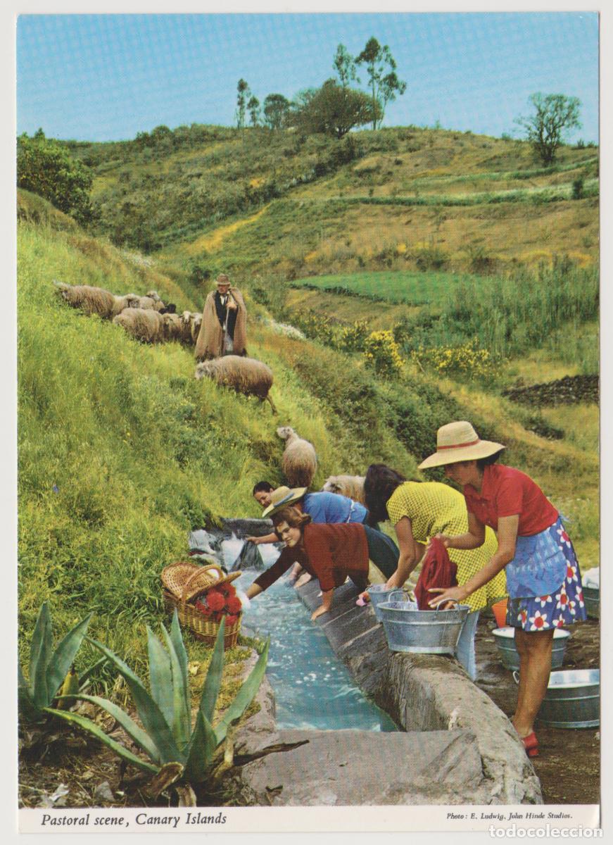 Postales: TARJETA POSTAL- CANARY ISLANDS - PASTORAL SCENE - PHOTO: E. LUDWIG, JOHN HINDE STUDIOS